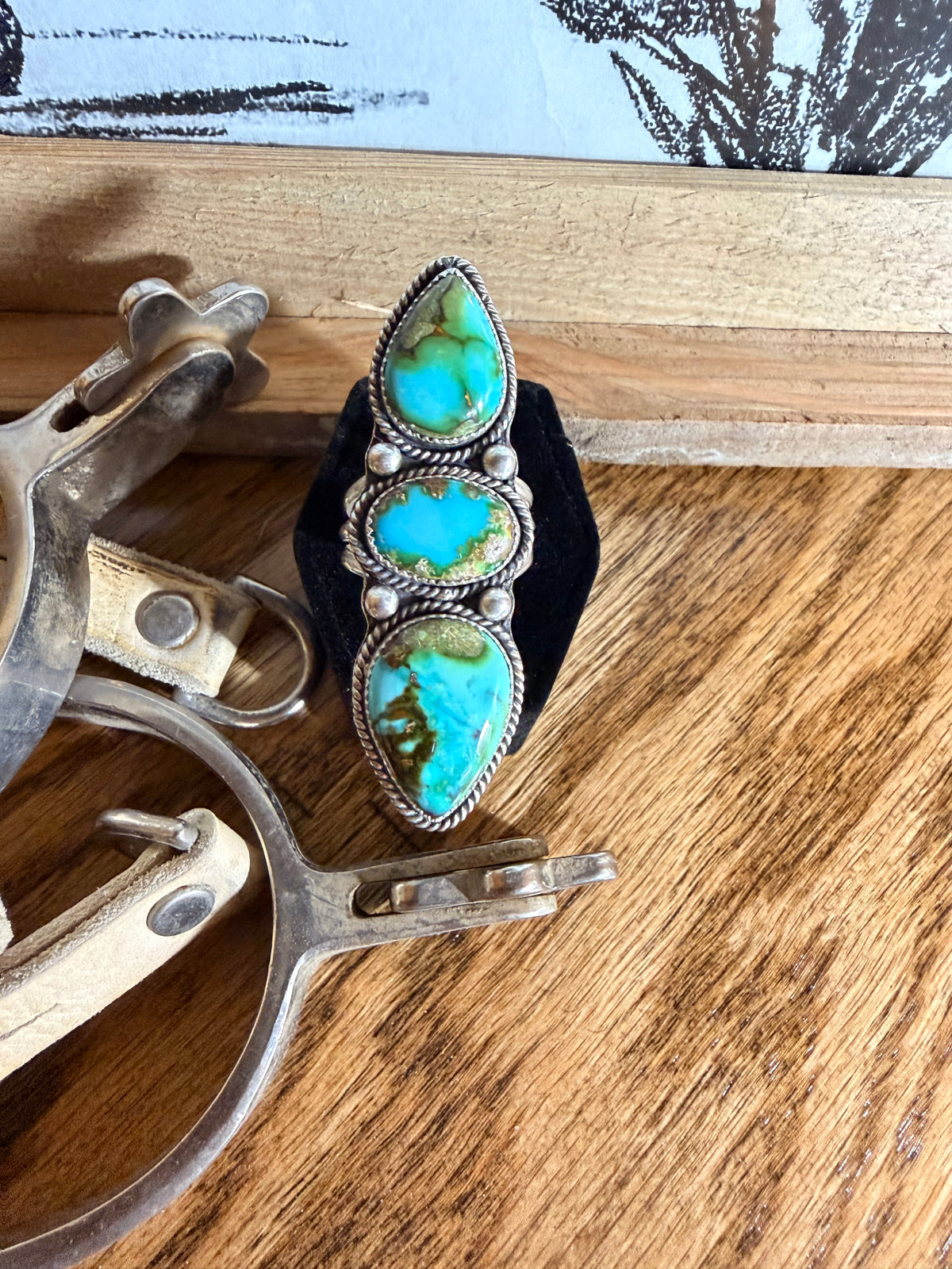 The Sonoran ring