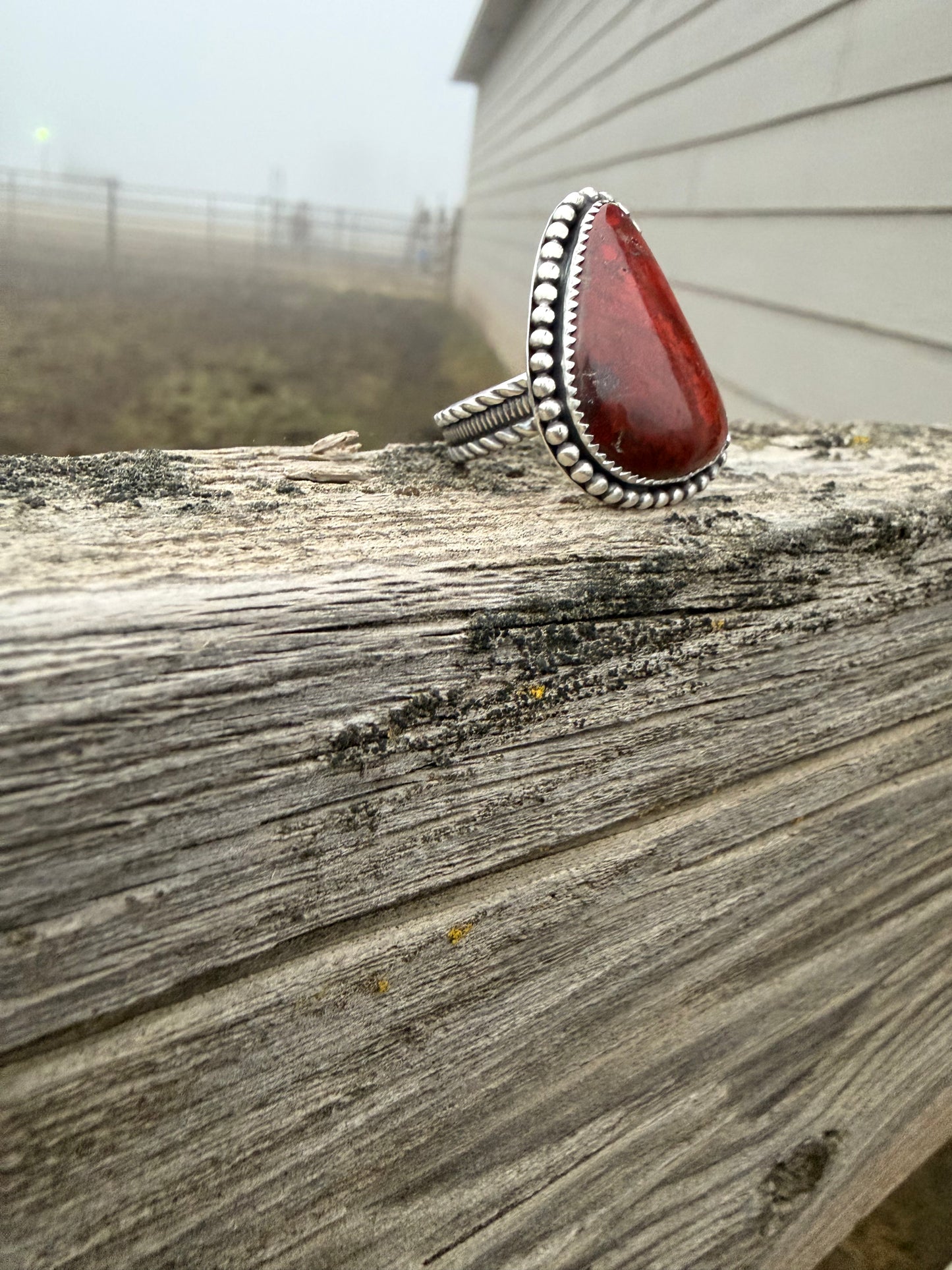 The Jasper Ring
