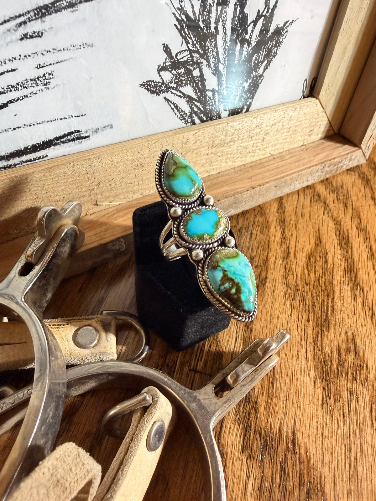 The Sonoran ring