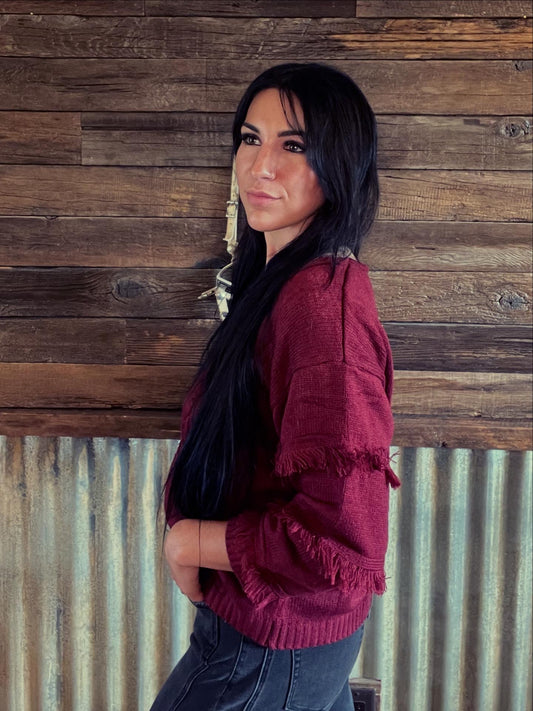 Tassels Solid Long Sleeves V-Neck Knit Top