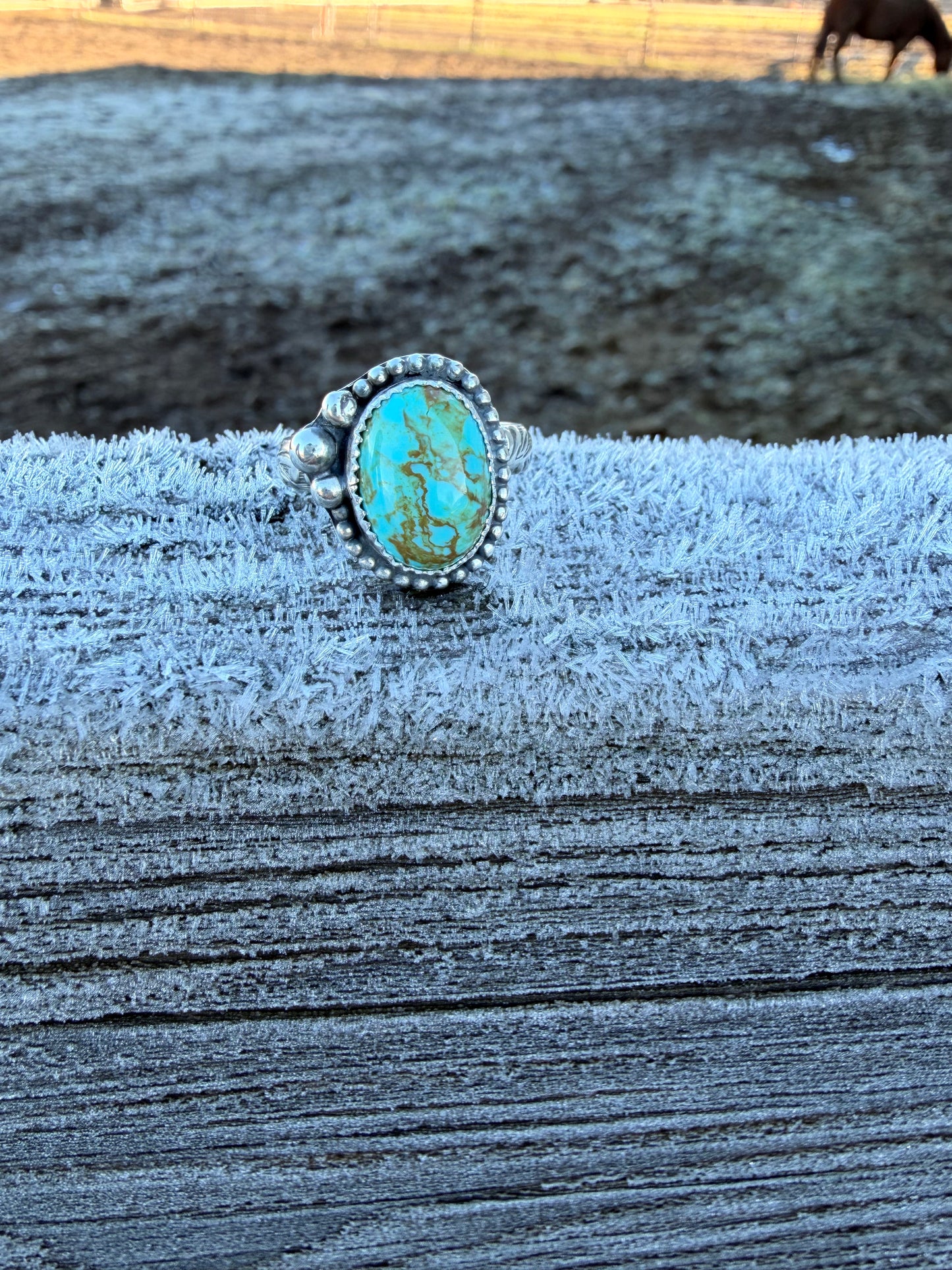 Santa Fe Ring