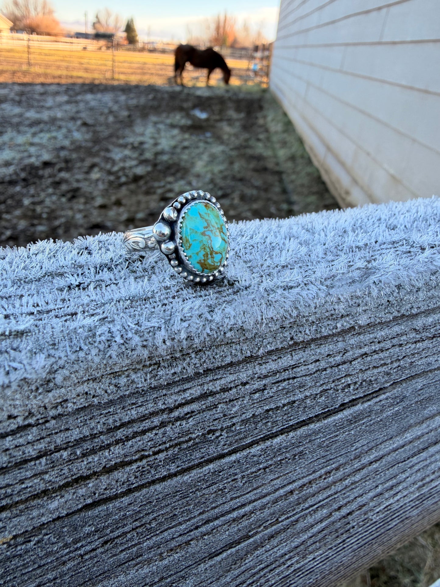 Santa Fe Ring