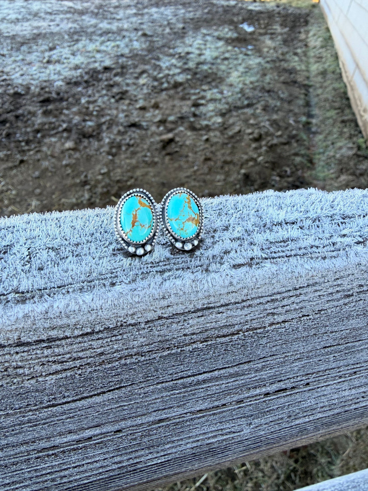 Santa Fe Earrings