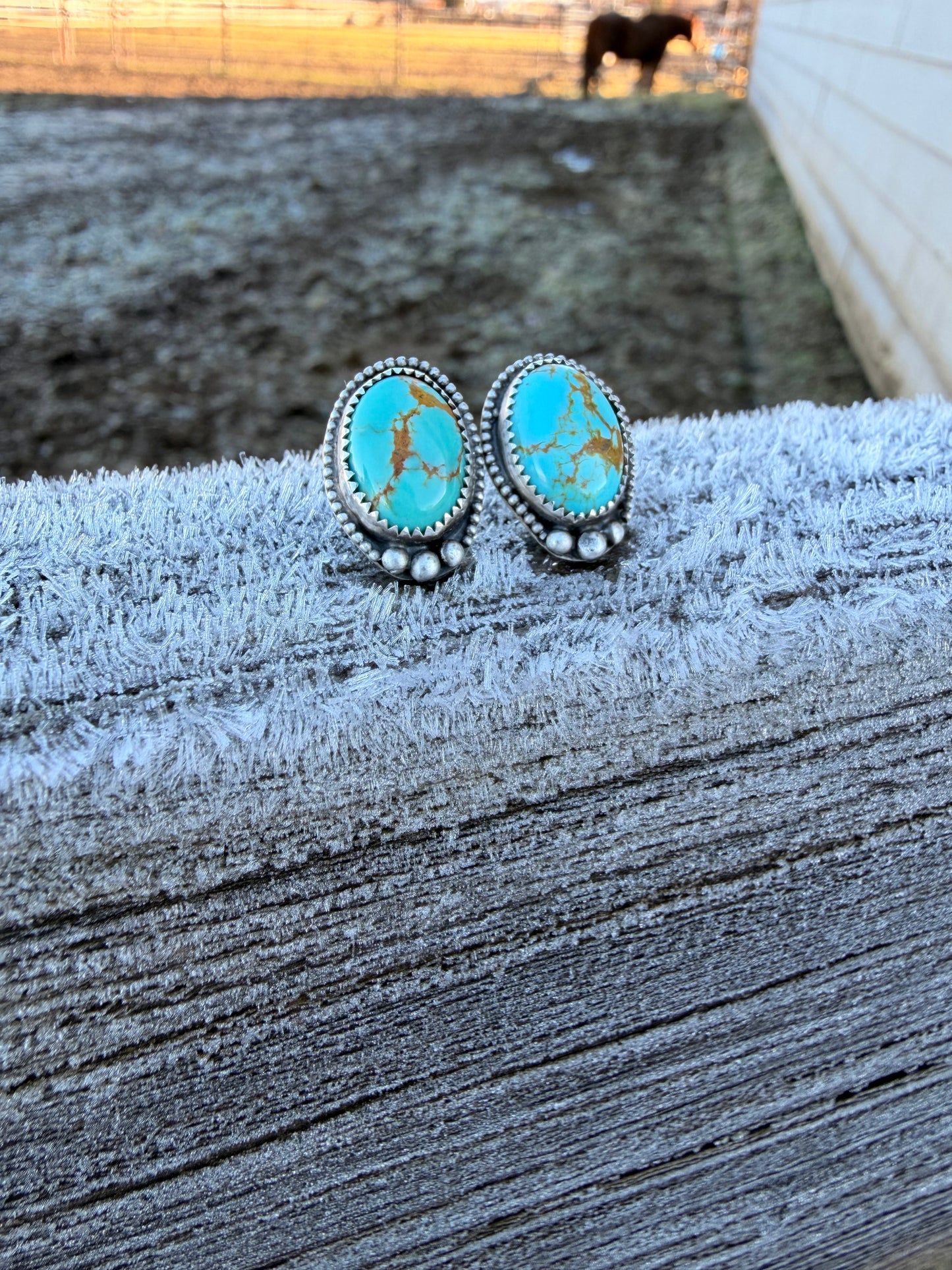 Santa Fe Earrings