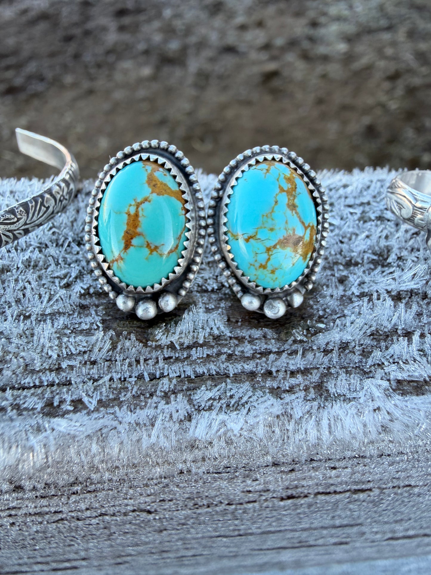 Santa Fe Earrings