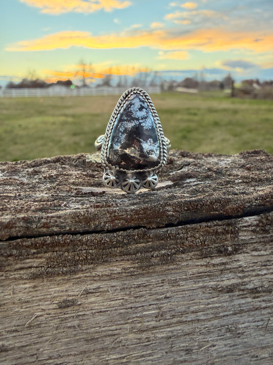 Native silver ring
