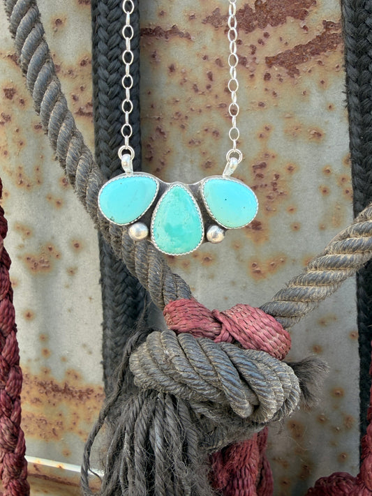 The Sonoran necklace