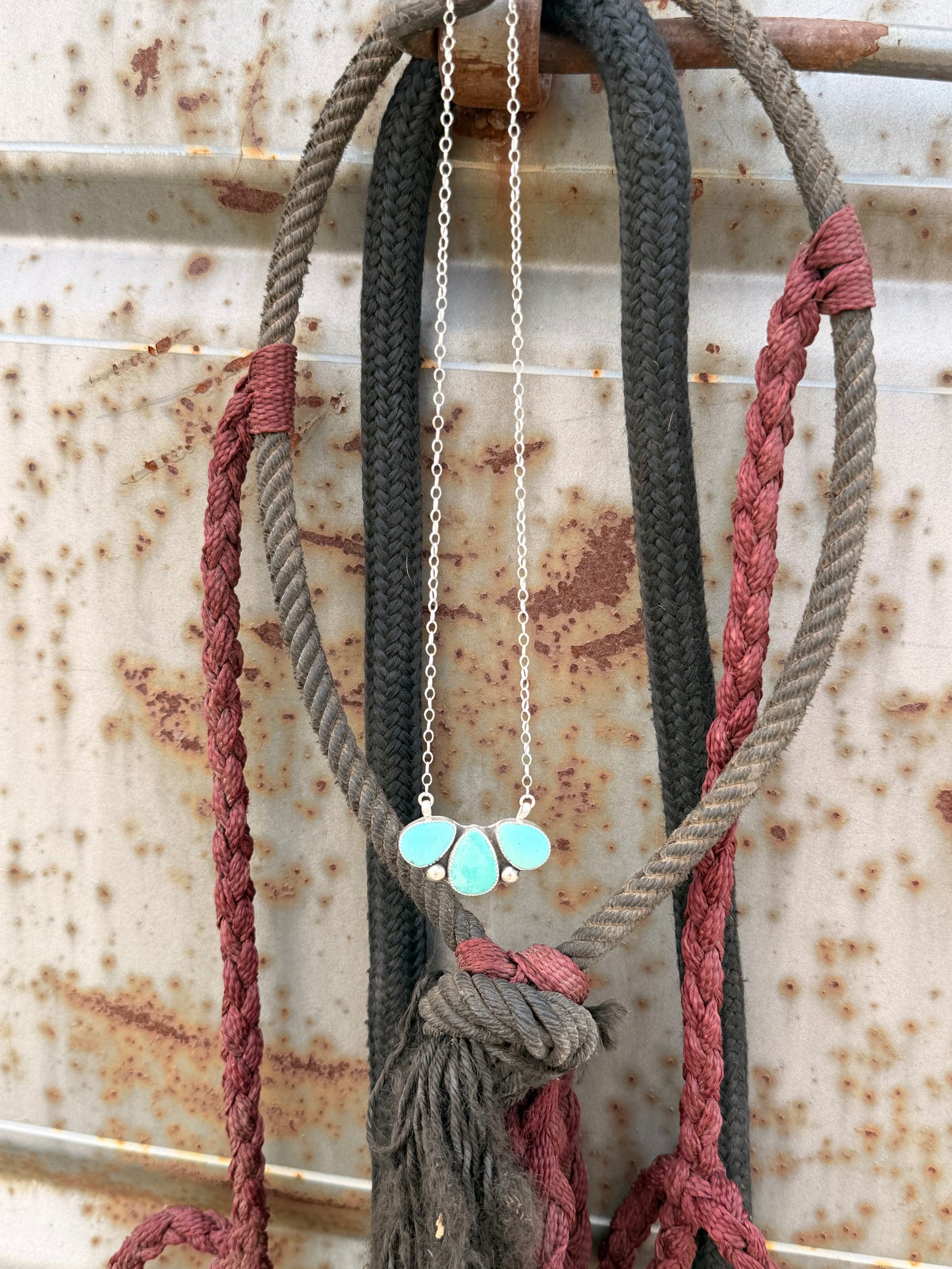 The Sonoran necklace
